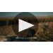 Dona Paula Estate Malbec 2021 Dona Paula Estate Malbec Tasting Notes Product Video